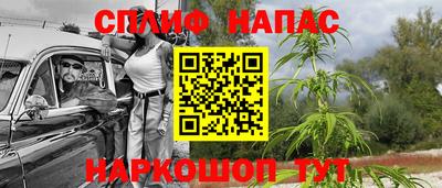 индика Янаул