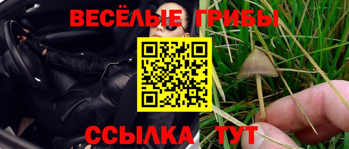 Галлюциногенные грибы Magic Shrooms  Вход с VPN  Волгодонск  Псилоцибиновые грибы мицелий 