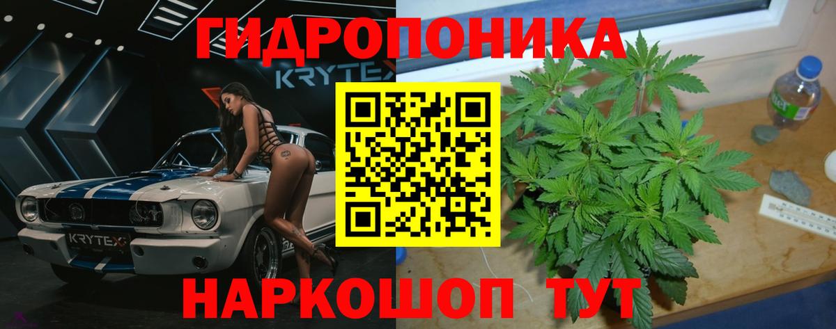 Шишки марихуана планчик  Вход с VPN  Шишки марихуана тримм  Канабис Ganja  Волгодонск 